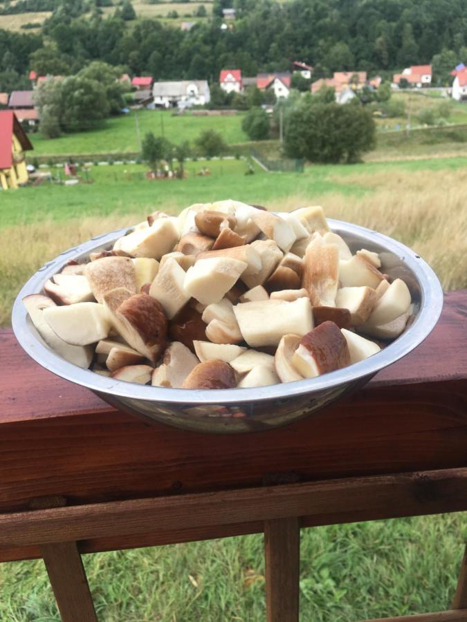 Klimatyczny Drewniany W Gorach *
