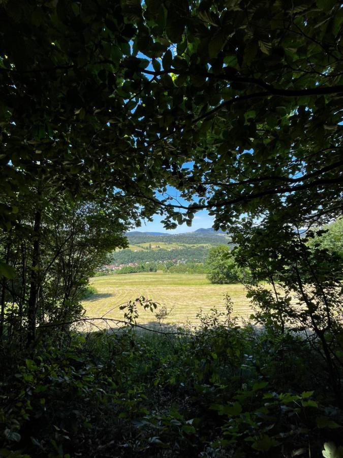Klimatyczny Drewniany W Gorach